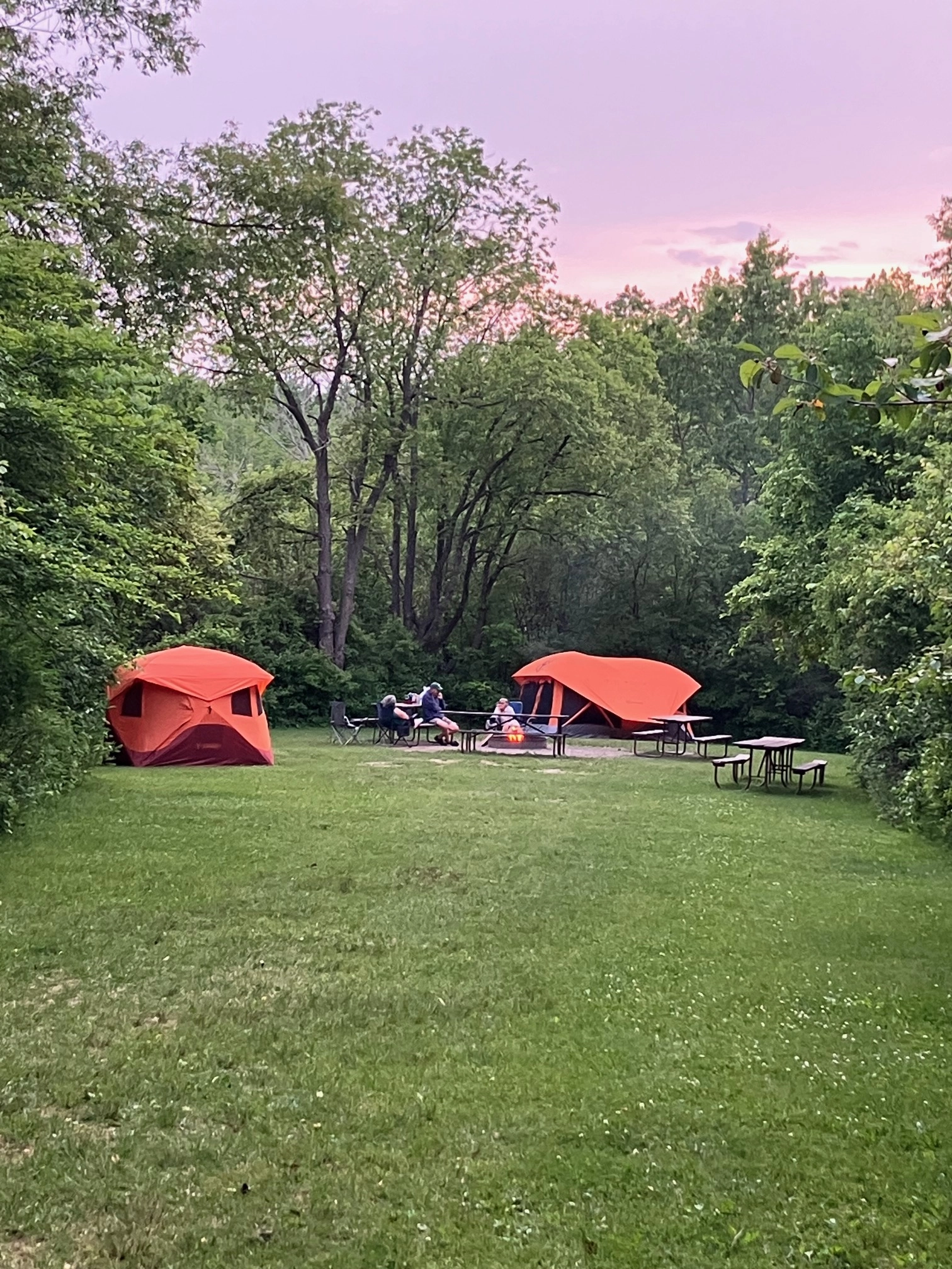 Orange camp tents pitched in a grassy clearing at dusk