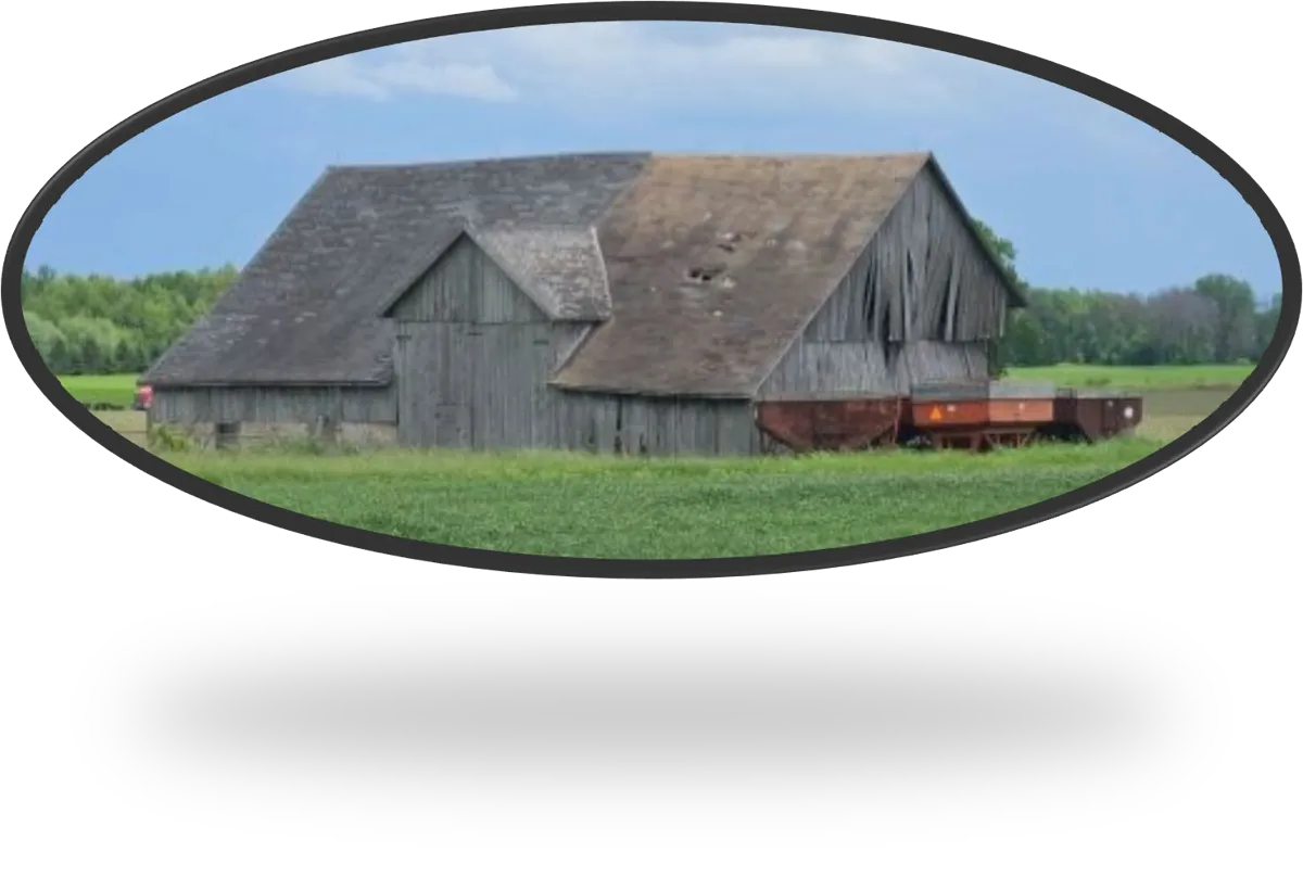 Day 1, farms along the Way, photo 2